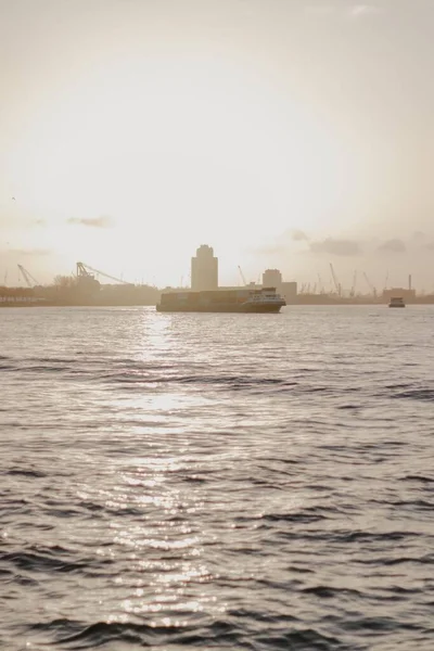 Rotterdam Daki Nieuwe Maas Nehrinde Seyreden Bir Teknenin Dikey Çekimi — Stok fotoğraf