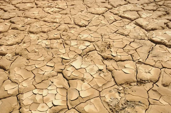 Closeup Drought Land Multiple Cracks — Stock Photo, Image