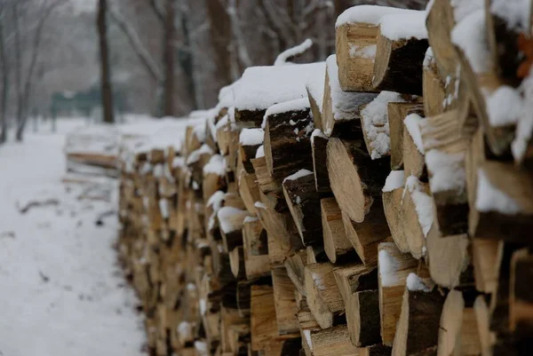 Ein Haufen Gehäckseltes Holz Der Winter Mit Schnee Bedeckt Ist — Stockfoto