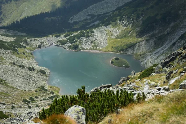 Lago Claro Altas Montanhas Árvores Verdes Parque Nacional Retezat Cárpatos — Fotografia de Stock