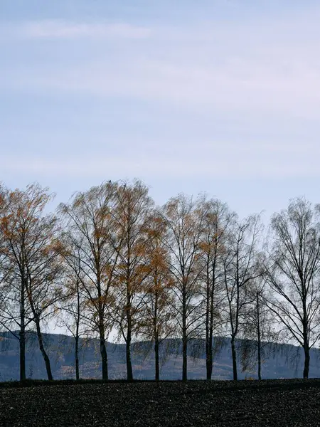 Obrázky Kulturní Krajiny Toten Norsko Slunečný Den Konci Podzimu — Stock fotografie