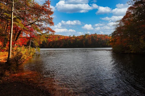 Мальовничий Вид Спокійне Озеро Оточенні Красивих Осінніх Дерев Блакитному Небі — стокове фото