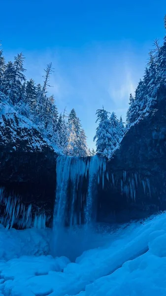 Pystysuora Laukaus Jäätyneestä Vesiputouksesta Oregonin Lumisessa Metsässä — kuvapankkivalokuva