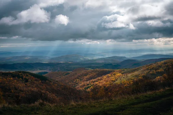 Kasvetli Sonbahar Gökyüzünün Altında Sarı Ormanlarla Kaplı Büyük Dağlar — Stok fotoğraf