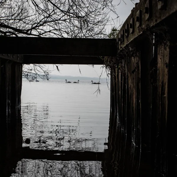 Uma Velha Construção Contra Lago Cheio Cisnes — Fotografia de Stock