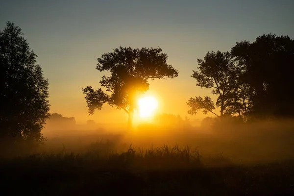 Uma Vista Panorâmica Nascer Sol Sobre Árvores — Fotografia de Stock