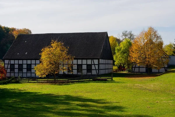 Живописный Вид Деревянных Домов Зеленом Поле Германии — стоковое фото