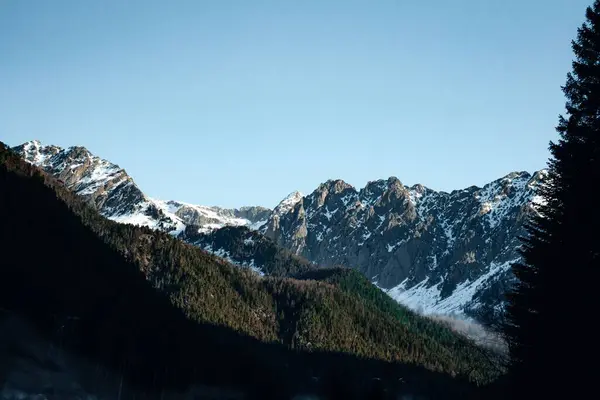 Krásný Letecký Pohled Zasněžené Skalnaté Alpy Blízkosti Stromů — Stock fotografie
