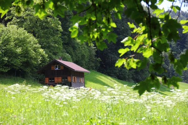 ドイツ バイエルン州のアルプス山の緑の牧草地の家の風景 — ストック写真