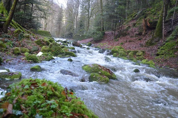 Cachoeira Que Flui Sobre Pedras Musgosas Floresta — Fotografia de Stock