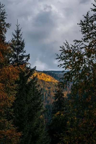 Вертикальный Снимок Покрытых Лесом Холмов Облачную Погоду — стоковое фото