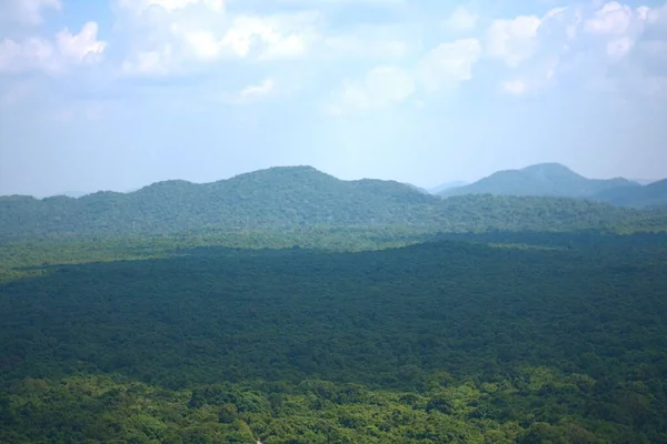 Una Toma Aérea Del Bosque Pidurangala Rock Sigiriya — Foto de Stock