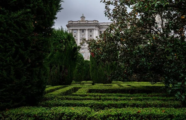 Parte Anteriore Del Palazzo Reale Madrid Dietro Gli Alberi Una — Foto Stock