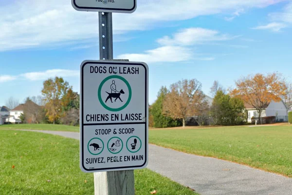 Парку Оттаві Канада Знімок Собак Пошті — стокове фото