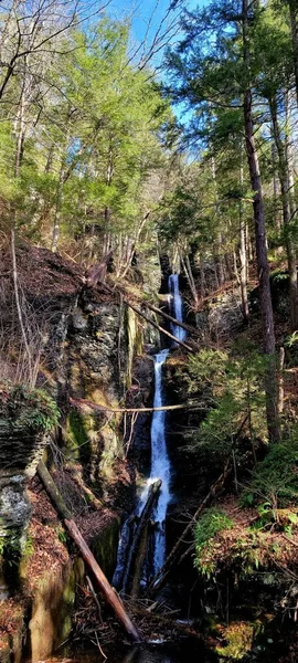 在白天 小瀑布从被树木和植物环绕的高山上流下来的垂直镜头 — 图库照片
