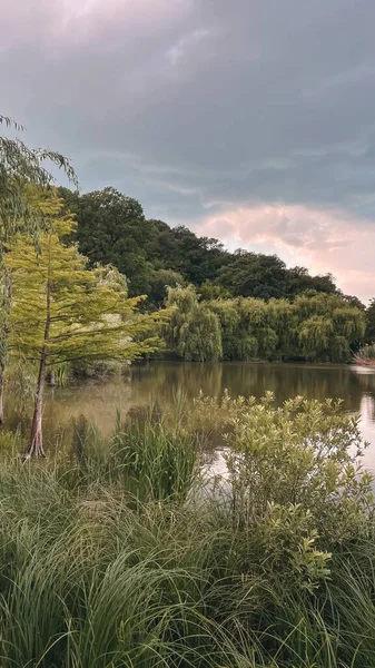 stock image A vertical shot of a scenic lake surrounded by lush trees and plants under the cloudy sky