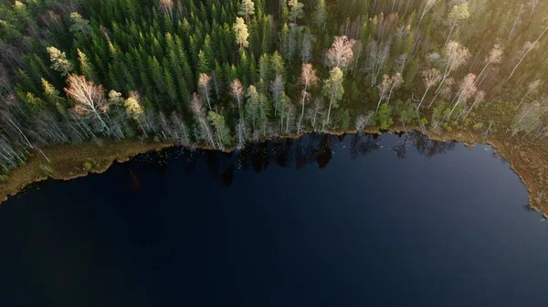 Stock image A drone shot of a tranquil lake in the middle of a dense forest on a sunny day