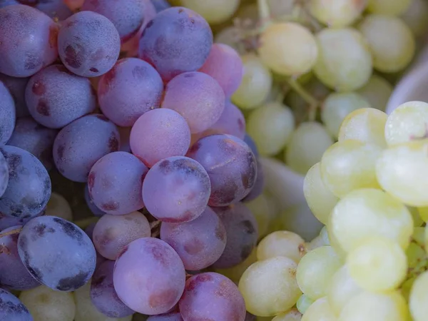 Yakın Plan Taze Organik Mavi Sarı Üzümler Şarap Konsepti — Stok fotoğraf