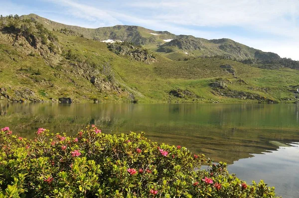 Una Hermosa Vista Sereno Lago Rodeado Verdes Campos Montañas Los — Foto de Stock