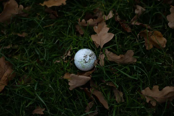 Eine Nahaufnahme Von Oben Auf Einen Weißen Golfball Dreck Auf — Stockfoto