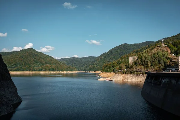 Dam Rivier Arges Omringd Door Weelderige Groene Bergbossen Roemenië — Stockfoto