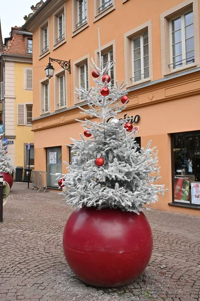节假日期间放置在街道中央的一棵圣诞树的垂直照片 — 图库照片