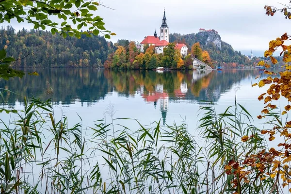 Μια Γοητευτική Θέα Bled Κάστρο Θέα Λίμνη Bled Σλοβενία — Φωτογραφία Αρχείου