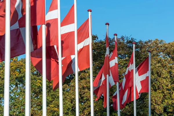 Closeup Shot Row Danish Flags Sunny Day — Stock Photo, Image