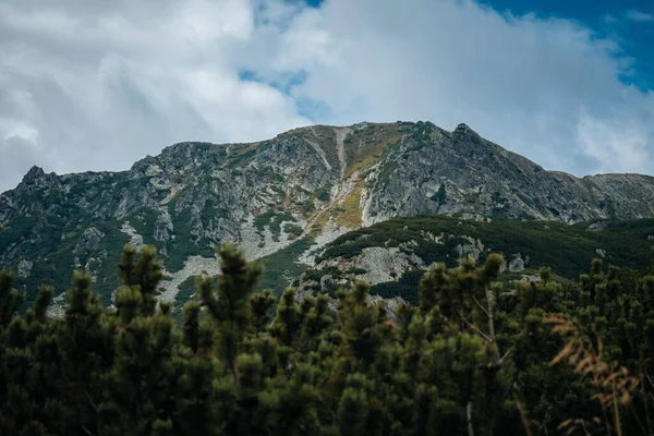 Une Vue Aérienne Des Montagnes Rocheuses Avec Une Végétation Verte — Photo