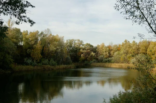 平静的湖水 绿树成荫 绿树成荫 — 图库照片