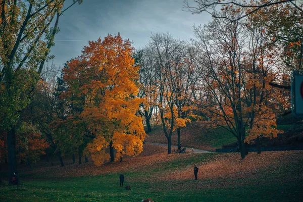 stock image A park in autumn under a cloudy sky