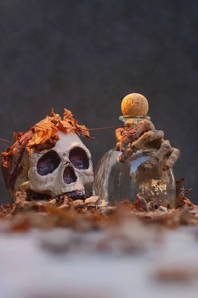 가을마른 잎으로 무서운 두개골 — 스톡 사진