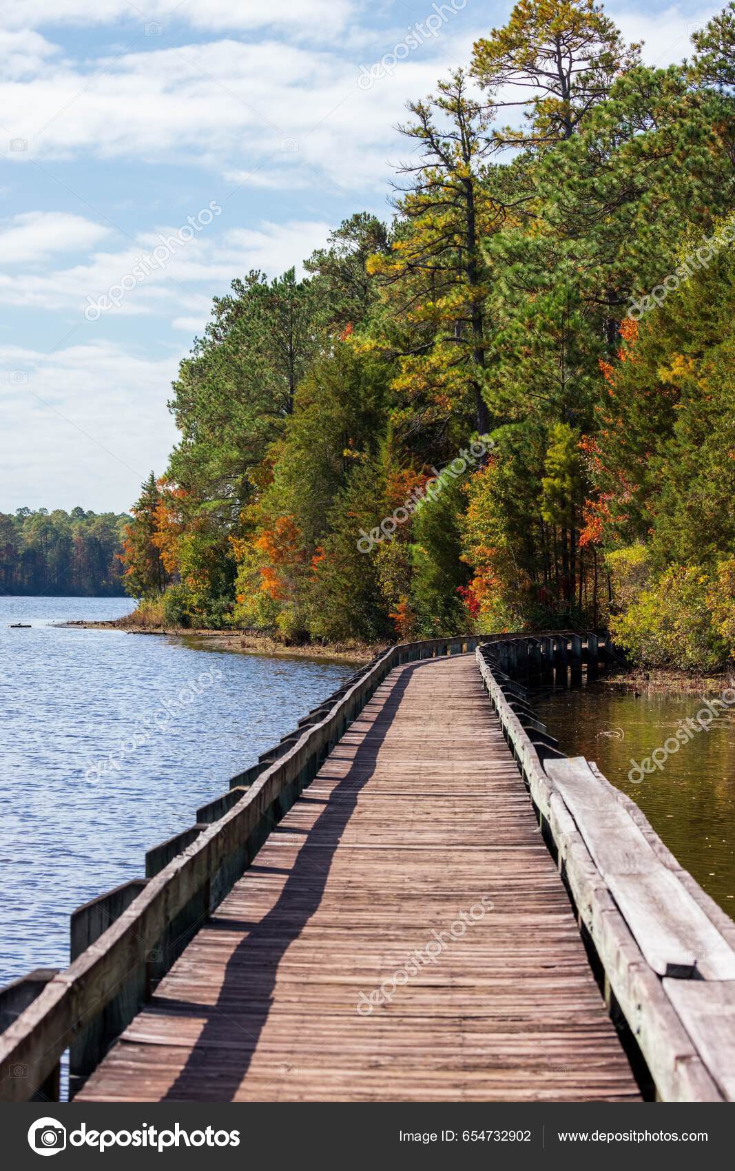 Vertical Pier Lake Autumn Trees Cheraw State Park Chesterfield County ...