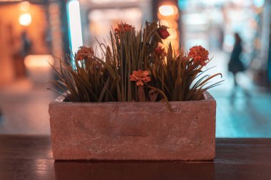 Arka planda renkli ışıklar olan bir tencerede çiçeklerin yakın çekimi.