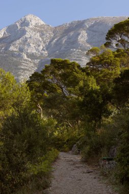 Güneşli bir günde Nugal plaj manzarası, kayalık uçurumlar ve temiz bir arka plan.