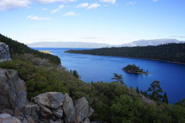 Güney Tahoe Gölü çevresindeki köknar ormanlarının manzarası.