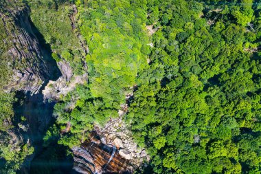 Dağlardaki ormanın havadan görünüşü