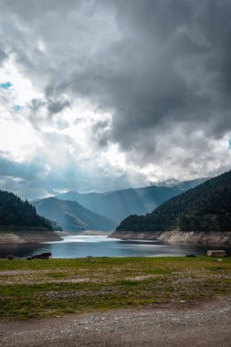 Orman ve tepelerle çevrili sakin gölü olan dikey bir ağaç görüntüsü.