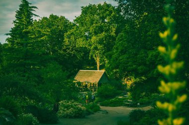 Güneşli bir günde yeşil ağaçlı bir parkta güzel bir turist manzarası.