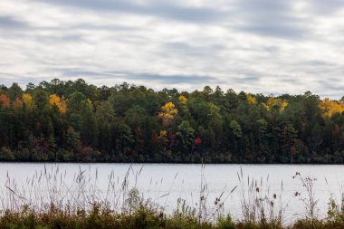 Chesterfield County, Güney Carolina 'daki Cheraw State Park' ta sonbahar ağaçlarına karşı manzaralı bir göl manzarası.