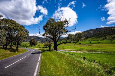 Kırsal kesimdeki bir yolun manzarası..