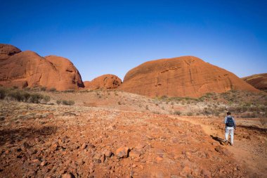 A person admiring the landscape of a deserted valley on the background of the Uluru clipart