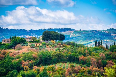 Güneşli bir günde kırsal bir arazinin güzel manzarası.