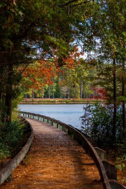 Chesterfield County, Güney Carolina 'daki Cheraw Eyalet Parkı' ndaki sonbahar ağaçlarına karşı bir göldeki iskelenin dikey görüntüsü.