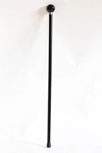 Ένα Κάθετο Πλάνο Ενός Μαύρου Μπαστούνι Που Περπατά Απομονωμένο Λευκό — Φωτογραφία Αρχείου