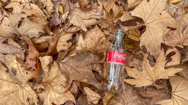 Une Bouteille Coca Coca Vide Parmi Les Feuilles Automne Dans — Photo