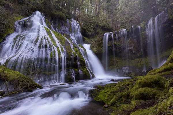 太平洋岸北西部の森に流れる美しい滝のローアングルビュー — ストック写真