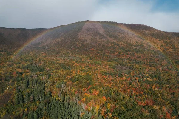 Dağ Yamacındaki Renkli Ağaçların Kayalık Yamacın Üstündeki Gökkuşağının Hava Görüntüsü — Stok fotoğraf