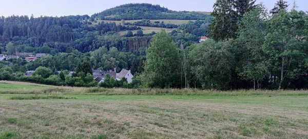 Een Panoramisch Uitzicht Een Groen Veld Met Huizen Het Bos — Stockfoto