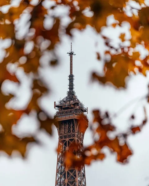 Topo Famosa Torre Eiffel Fundo Dos Galhos Das Árvores — Fotografia de Stock